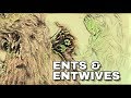 What Happened to the Entwives? | Middle-earth Lore