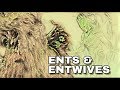 Entwivesに何が起こったのですか？ | |中つ国の伝承