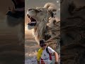    دی جی کینگ شهاب