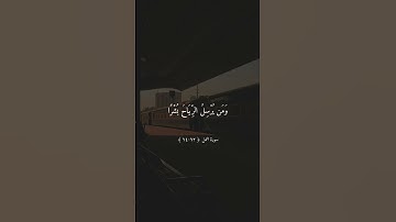 أَمَّن يُجِيبُ الْمُضْطَرَّ إِذَا دَعَاهُ وَيَكْشِفُ السُّوءَ | تلاوة ماهر المعيقلي #ماهر_المعيقلي