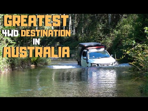 My FAVOURITE 4WD DESTINATION in AUSTRALIA! Epic 4wd trip Coffs Harbour & Bellingen Nissan Navara