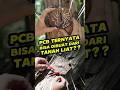 PCB Ternyata Bisa Dibuat dari Tanah Liat?!