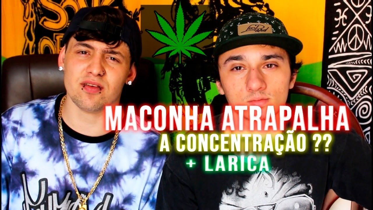 Se Concentrar Nos Trabalhos Chapado? Larica Da MACONHA?