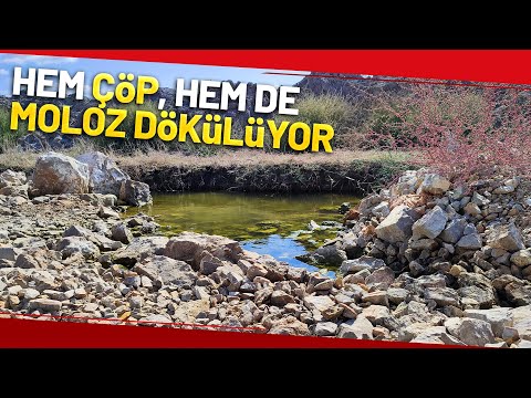 Kuş Cenneti Moloz