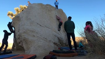 Pinhead - V1 - White Rastafarian Circuit - Joshua Tree