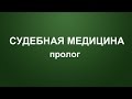 Вступительное слово Адвоката Алексея Колегова. СМЭ