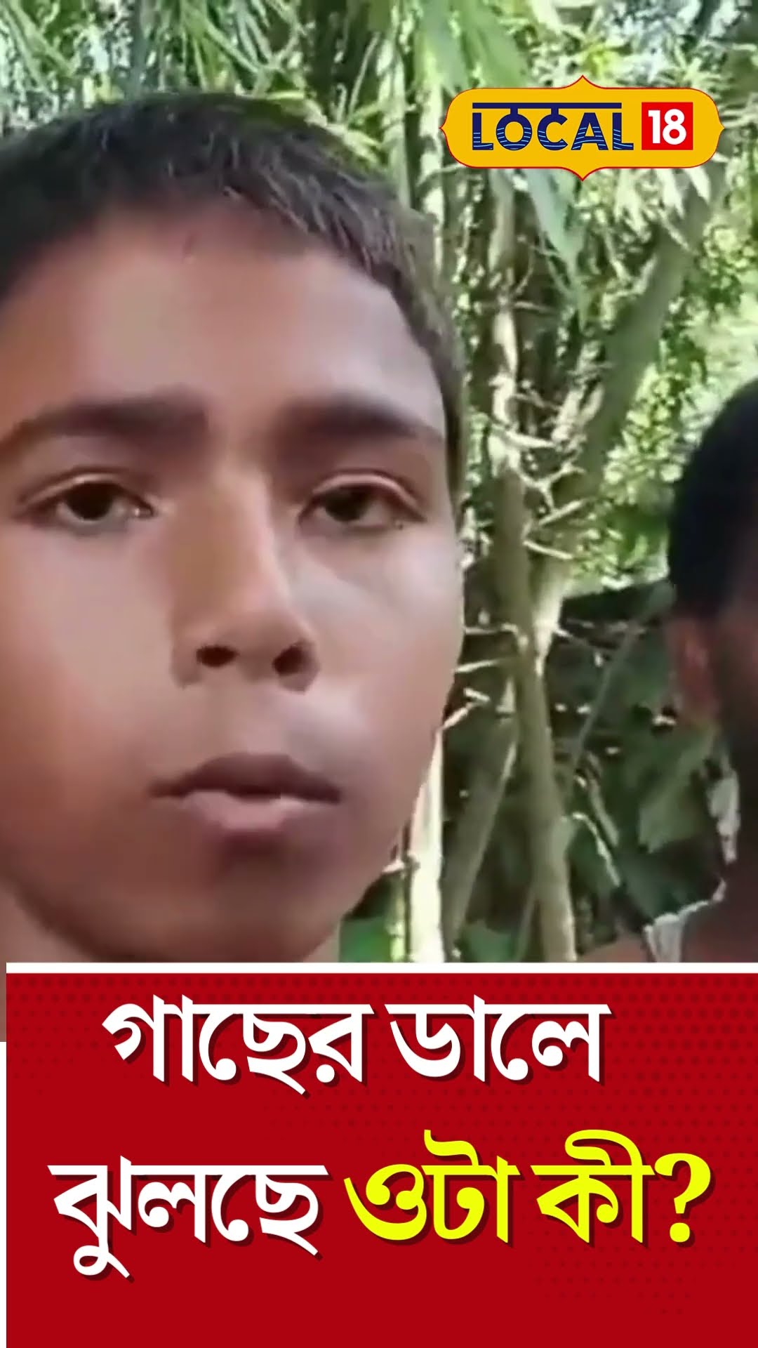 Bangla News | গাছের ডালে ঝুলছে ওটা কী? সকলের চোখ পড়তেই বিরাট আতঙ্ক এলাকায় | Viral #Local18Shorts