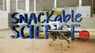 Snackable Science: Future of U.S. Navy Maintenance: Unleashing Robotic Quadrupeds