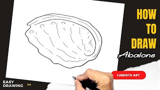 How to draw Abalone - Easy Abalone Drawing