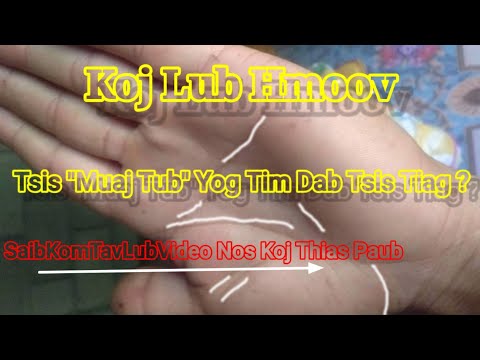 Video: Dab Tsi Yog Unpretentious Tsiaj Muaj