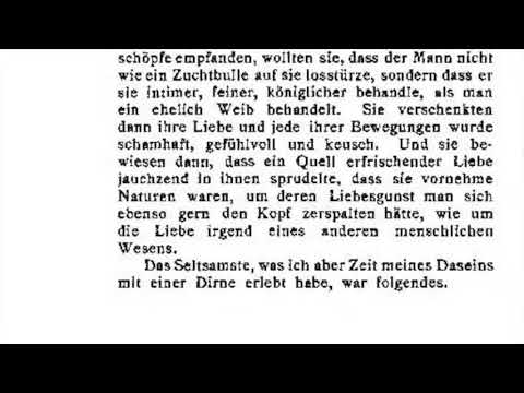 meine-hölle.-part-4/6-je-poritzky-(audiobook/hörbuch-auf-deutsch-with-onscreen-text)