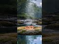 Calm beats for tired minds