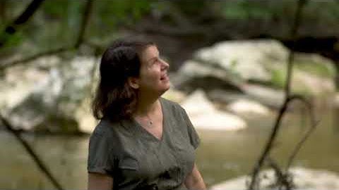 Season of Reveling: "Emerald Stream"