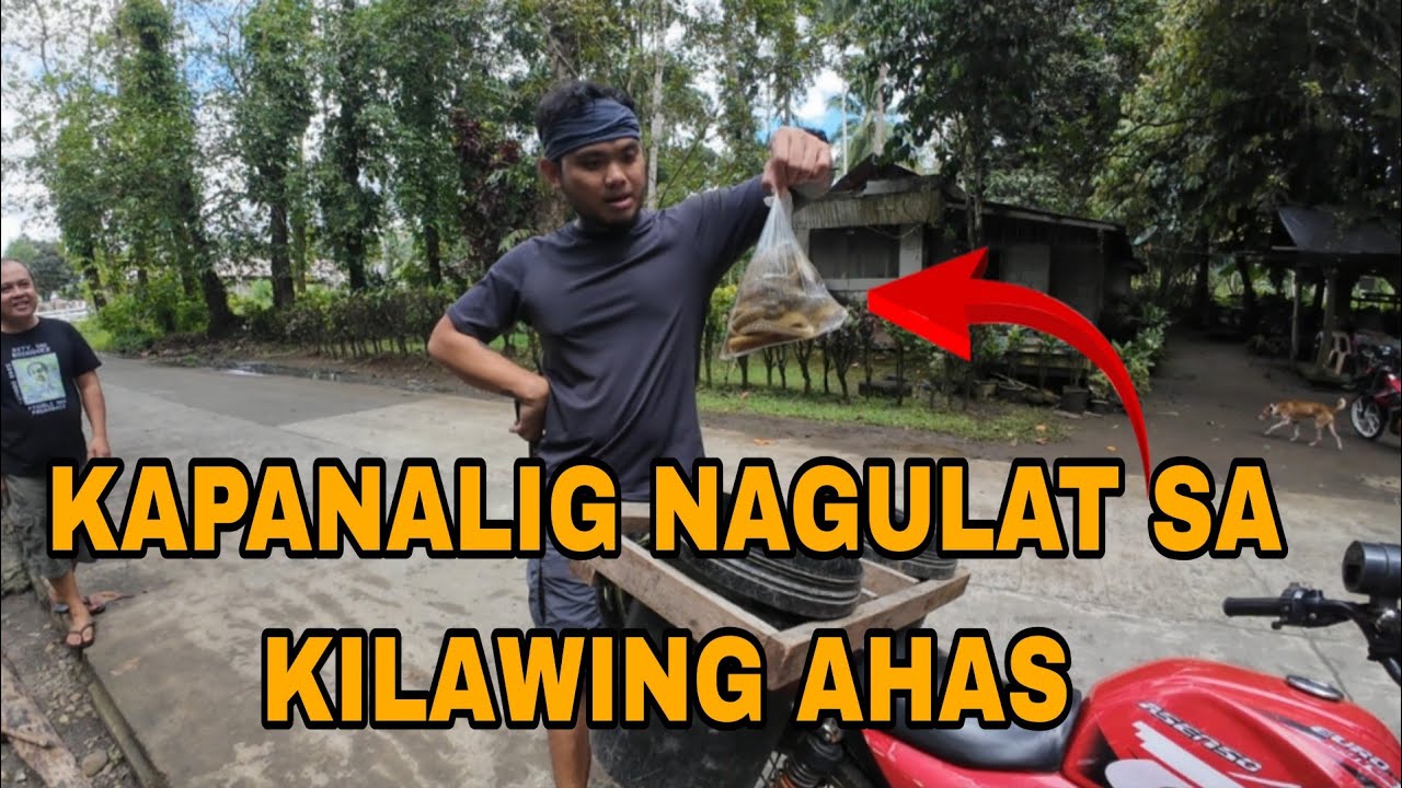 KAPANALIG NAGULAT SA KILAWING AHAS || February 25, 2026