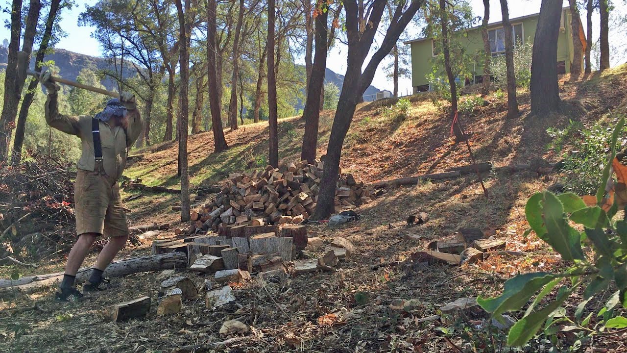Splitting Blue Oak and Ponderosa Pine for Firewood Part 2 - YouTube