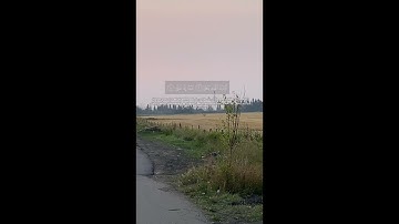 Shaykh Muhammad Siddiq Al Minshawi Surah Al-'Alaq || الشيخ محمد صديق المنشاوي سورة العلق