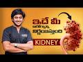 “మన శరీరంలోని Natural Filter – Kidney ఎలా పని చేస్తుంది?” by Dr.Abhilash Nali