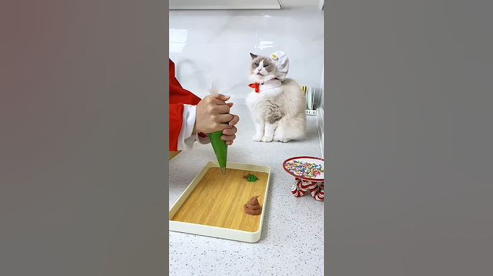 Puff is saving Christmas again with his  incredible baking  skills #shorts#trending #cat #puff