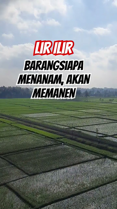 LIR ILIR || #shorts #feeds #feedshorts #lirilir #nature #qoutes #shortsfeed #desa #petani #video
