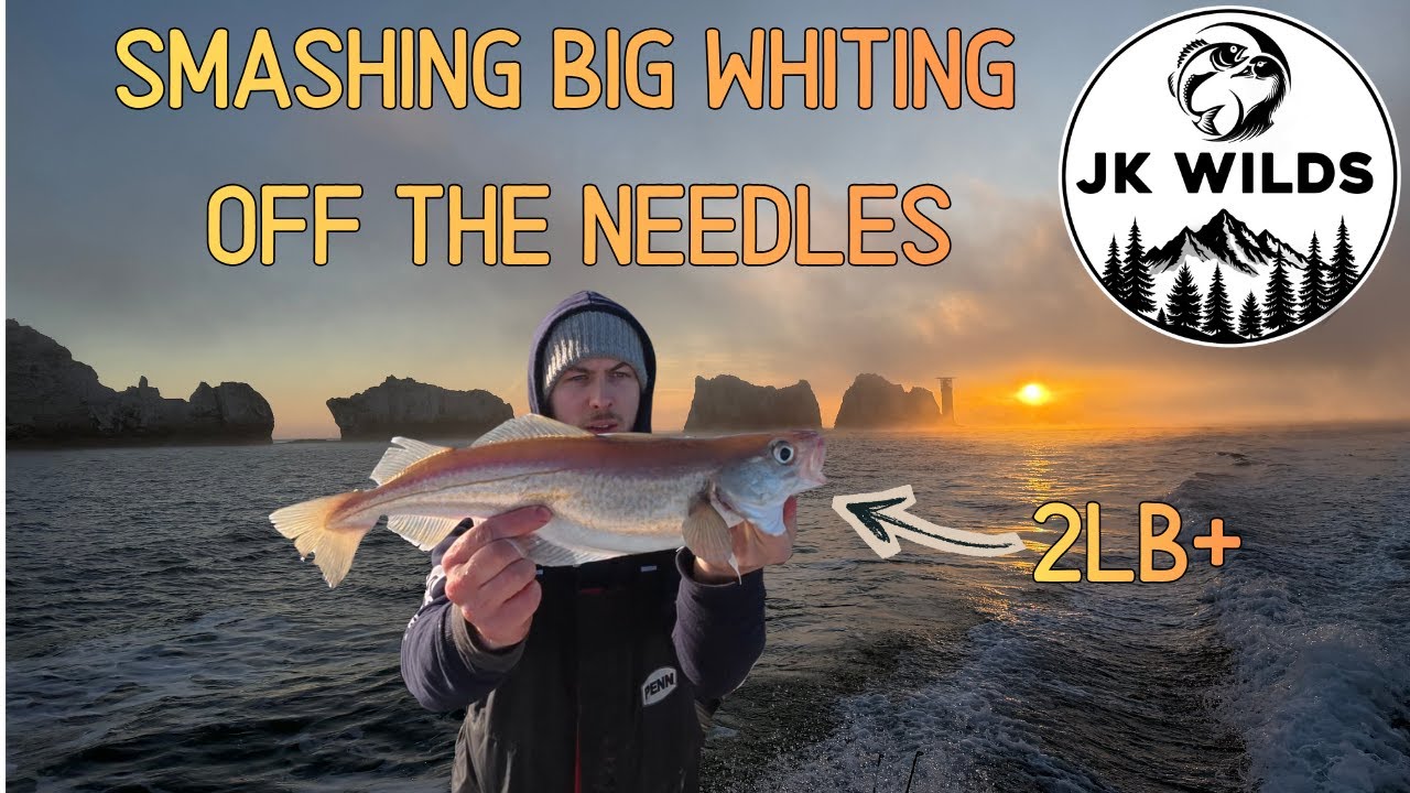 Ловля трески у мыса Нидлс | Появилась крупная мерланга