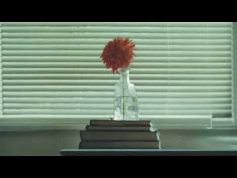 SYML How It Was Will Never Be Again Official Lyric Video 