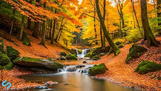 'Autumn Leaves' 🍁 Peaceful Music, Relaxing Music, Instrumental Music | 4K UltraHD