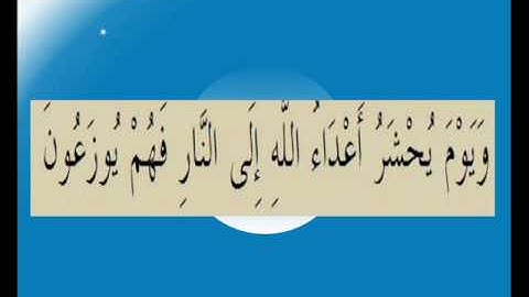 القران الكريم سورة فصلت الاية 19.wmv