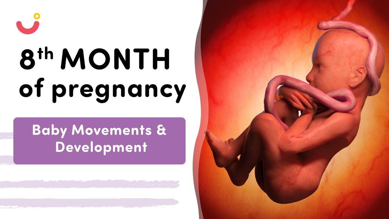 eighth-month-of-pregnancy-symptoms-baby-development-eighth-month