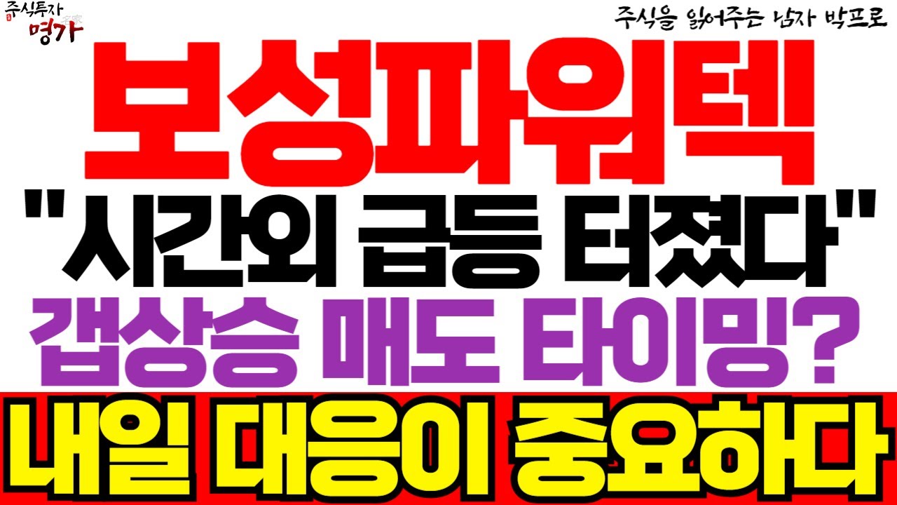 [보성파워텍 주가전망] 