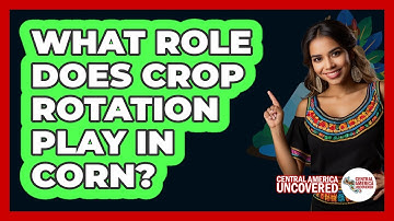 What Role Does Crop Rotation Play In Corn?