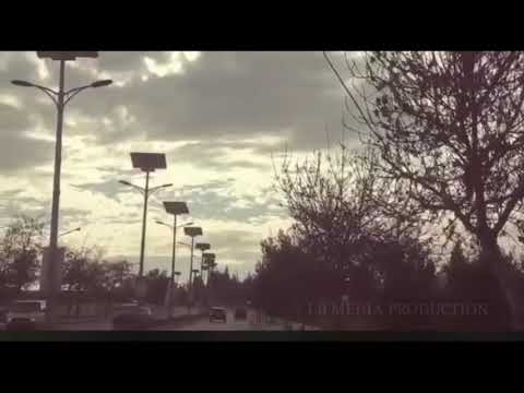 انا بعرف انو كان في طير صغير 