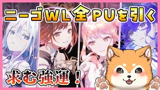 【#プロセカ 】ニーゴWLイベ『泡沫に抱かれて』ガチャでPU全員お迎えする 🐕✨【#犬ゆうライブ / #Vtuber】