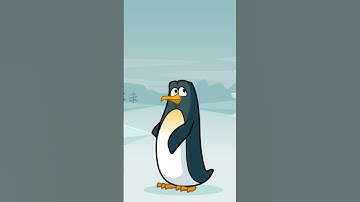 How Security Assessments Keep Hackers Away: A Beginner’s Guide