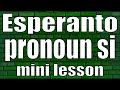 Esperanto pronoun si (mini lesson)