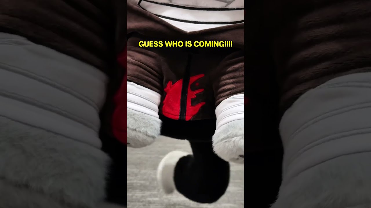 Guess Who Is Coming Zackfoster Isaacfoster Rachelgardner Plushshop Anime