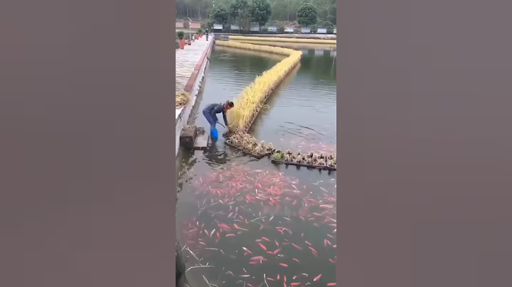 China's SECRET Double Farming Technique! 😳