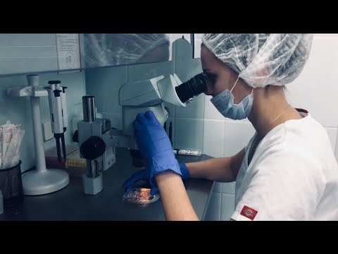 ЭКО, ИКСИ, работа эмбриологической лаборатории и криоконсервация эмбрионов