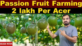 Passion fruit farming | 2 lakh per acre | krishna Fruit ki kheti | passion fruit plantation farming