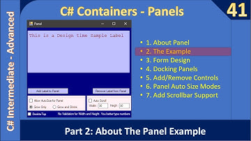 C# Panel Container | Part 2 About the Example | C# Advanced #41