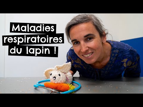 Vidéo: Pneumonie Chez Les Lapins