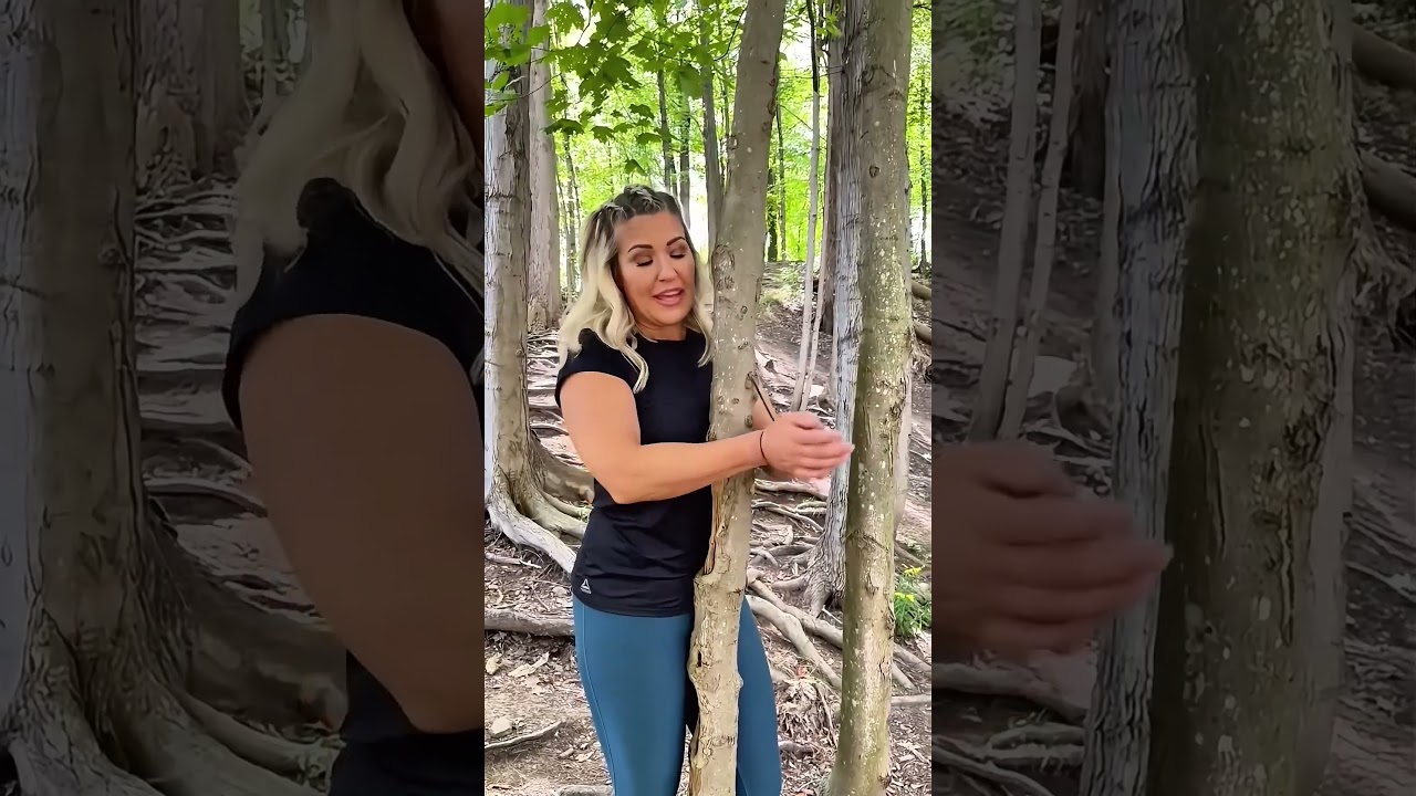 Cómo escaparon de esta trampa de árboles #shorts #amazing