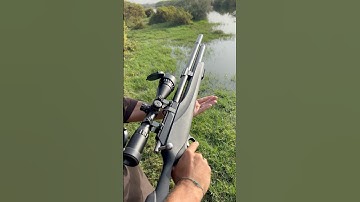 PCP Air Rifle 2025 #PCP #youtubeshorts #hunting