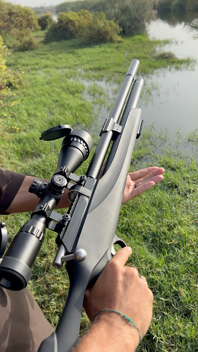 PCP Air Rifle 2025 #PCP #youtubeshorts #hunting