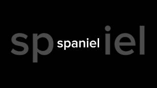 The spaniel rap