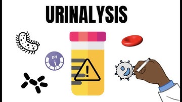 Urinalysis Interpretation QUICK and EASY
