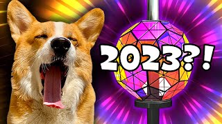 Best Talking Dog Videos of 2022!