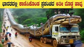 World's Largest Snake Found in India | Vasuki Indicus Snake Mystery in Kannada | Think Forever