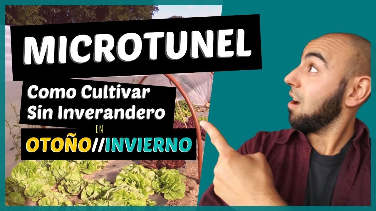 MICROTUNEL para Cultivar en OTOĂO//INVIERNO sin INVERNADERO. - YouTube