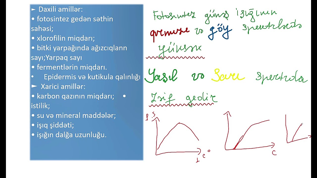 Biokimya.Fotosintez və Energetik mübadilə