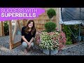 How to Have Success With Superbells // Garden Answer